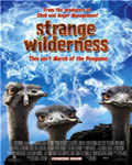 Снежный человек / Strange Wilderness (2008) - скачать фильм